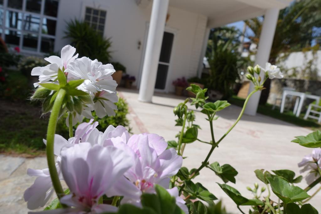 Limonlu Ev Ardic Hotel Alacati Kültér fotó